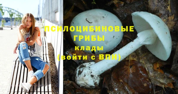 прущие крисы Абдулино